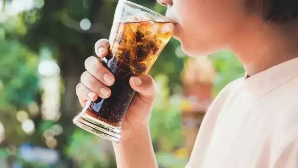 Türkiye'nin yerli ve milli kolası Konya'da üretiliyor! İşte fabrikanın konumu 4